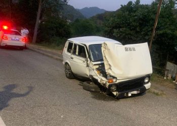 Из-за заклинившегося колеса «Нивы» в ДТП в Сочи пострадали двое детей