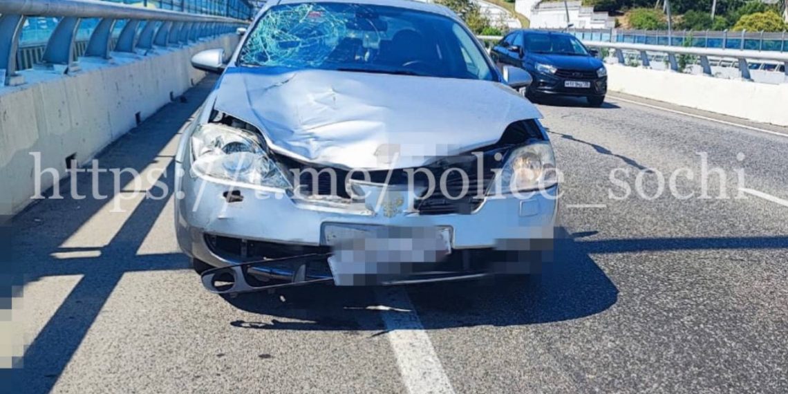 В Сочи Nissan насмерть сбил дорожного рабочего