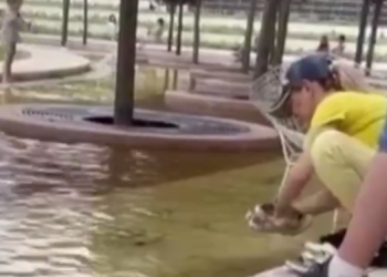 В Краснодаре женщина мыла кроссовки прямо в парковом фонтане