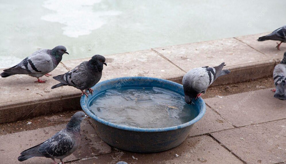 Штормовое предупреждение по сильной жаре на 4 дня объявлено в Краснодарском крае