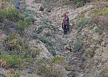 В Новороссийске Колдун “загипнотизировал” отдыхающего