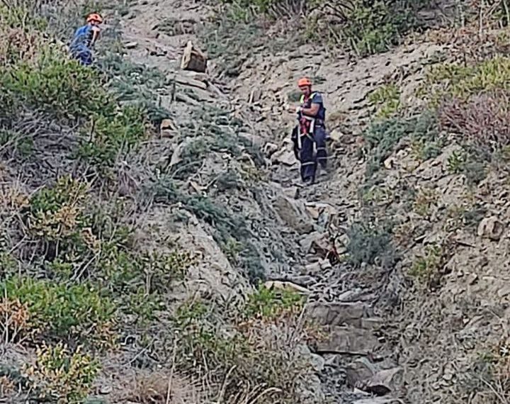 В Новороссийске Колдун “загипнотизировал” отдыхающего