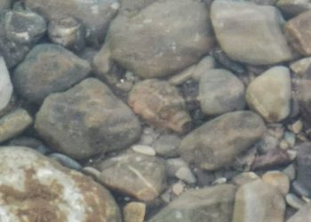 В Сочи росгвардейцы уничтожили найденную в реке гранату