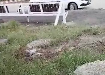 На Кубани дети бегали по дворам и кидались гранатами