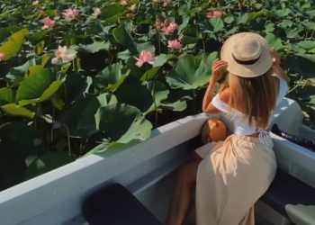 Долина лотосов под Анапой поразила россиян своей красотой