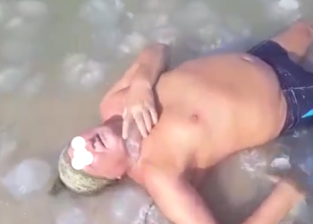 Житель Москвы искупался в Крыму в киселе из медуз и омолодился на 20 лет