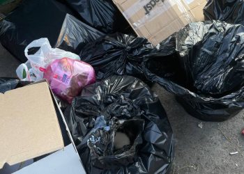 В Краснодаре у мусорного контейнера нашли заклеенный скотчем пакет с котятами