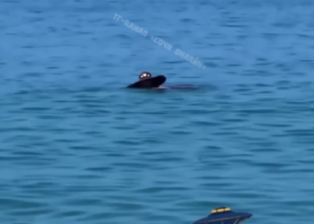 В море Сочи заметили НЛО в шляпе