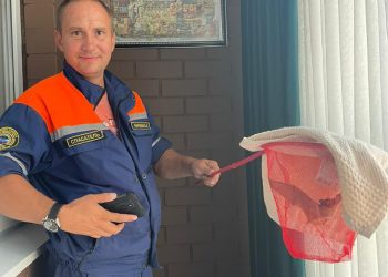 Квартиры жителей Новороссийска атаковали летучие мыши