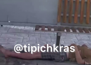 Город контрастов: корова “пасла” спящего мужчину на остановке в Сочи