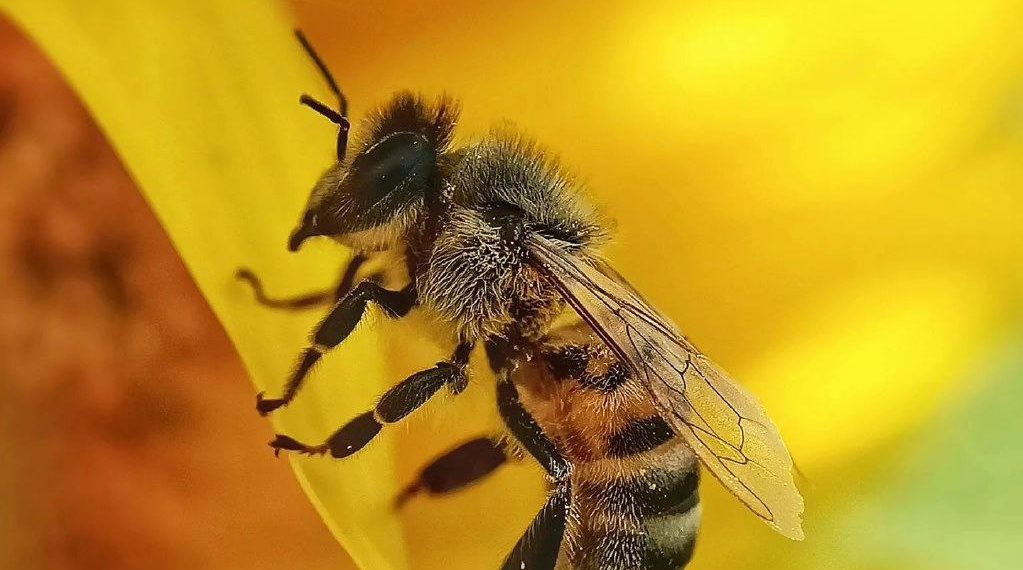 Метеорологи рассказали об опасных отметках на столбиках термометров и отсутствии осадков в Краснодарском крае