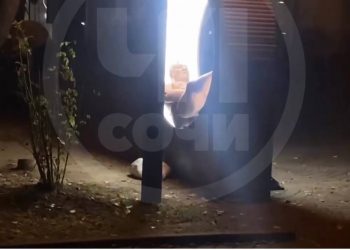 В Сочи полиция ищет пенсионера, мастурбировавшего на ярко освещенной лавочке