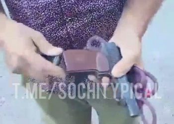 В Сочи владелец собаки размахивал пистолетом в ответ на замечание