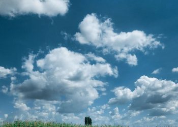 Синоптики рассказали, когда в Краснодарском крае температура упадет до +21