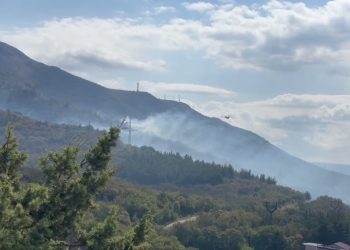 В Геленджике локализовали крупный лесной пожар