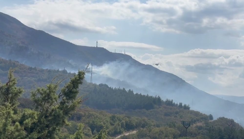 В Геленджике локализовали крупный лесной пожар