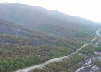 В Геленджике обследуют территорию лесного пожара