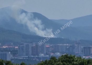 В Геленджике загорелось 500 квадратных метров леса