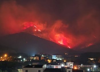 Пожар в Геленджике увеличился в 20 раз: к тушению привлекли два вертолета