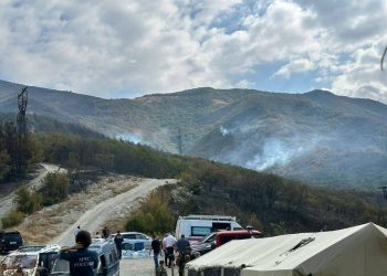 К тушению пожара в Геленджике привлекли самолет БЕ-200