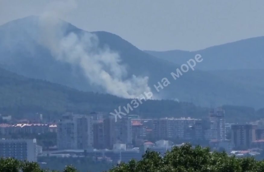 В Геленджике загорелось 500 квадратных метров леса