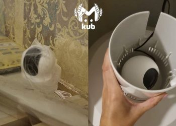 Сочинец с помощью прослушки узнал, что его жена спит с клиентом казино