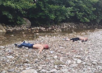 В Туапсинском районе Кубани на берегу реки убили двух мужчин