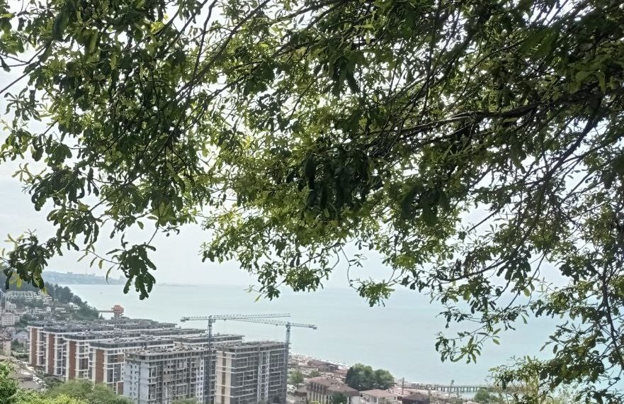 По Сочи ходят два окровавленных подростка и просят алкоголя