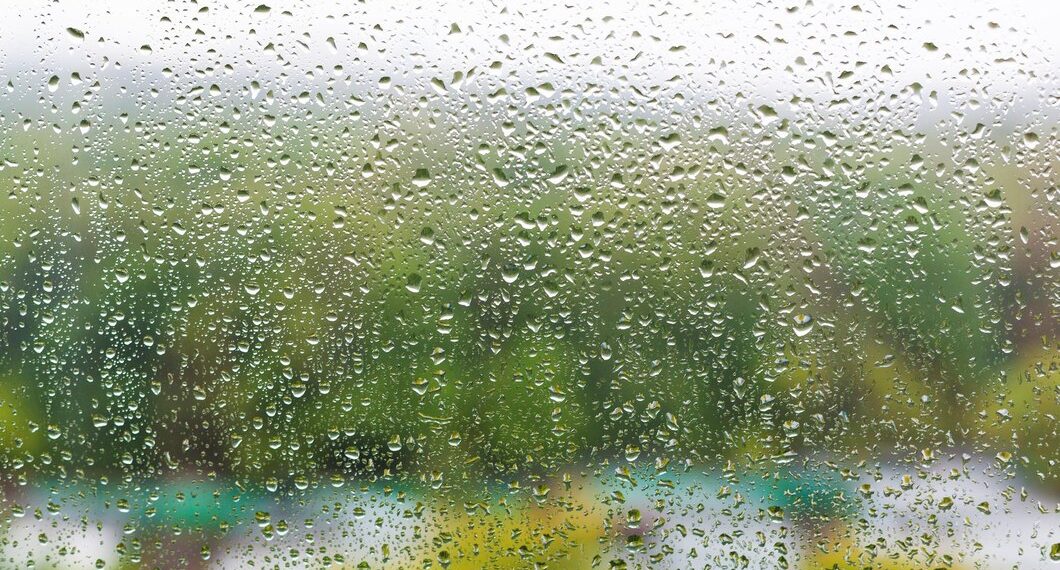 Синоптики рассказали, что дождь на Кубани будет длиться несколько дней