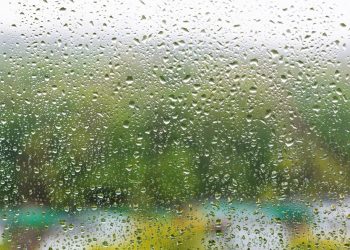 Синоптики рассказали, что дождь на Кубани будет длиться несколько дней