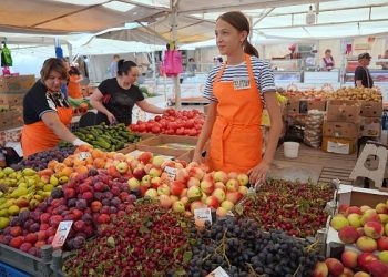 Во всех районах Сочи модернизировали ярмарки