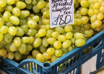 Краснодарцы цены на ярмарках выходного дня сравнили с северными