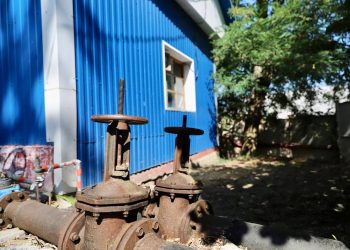 В Сочи кошка устроила взрыв трансформатора и оставила людей без воды