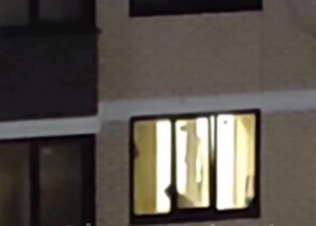 В Краснодаре мужчина швырял и избивал кота