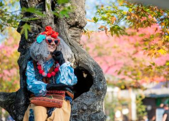 В Сочи Парке готовятся отметить День Рождения Бабы Яги