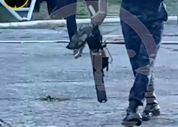 Атаковавший топливный резервуар в Сочи дрон-камикадзе зашел с моря