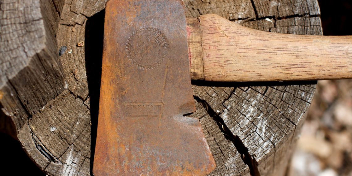 В Краснодаре полиция проводит проверку по факту убийства собаки