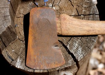 В Краснодаре полиция проводит проверку по факту убийства собаки