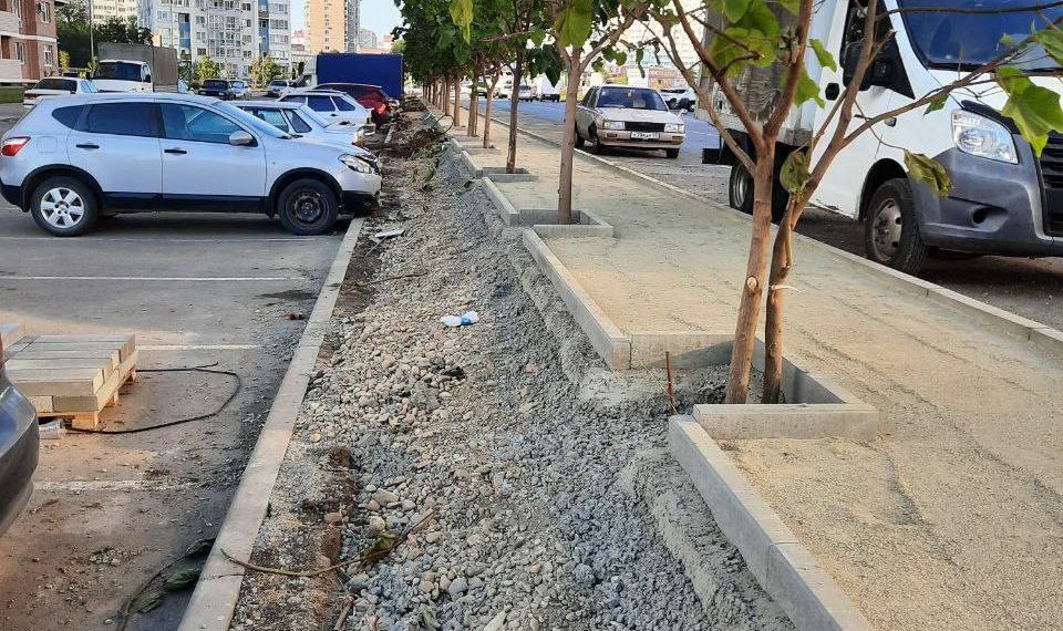 В Краснодаре деревья на улице залили в бетон