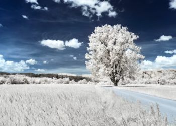 Вильфанд сделал неожиданное заявление о предстоящей зиме в Краснодарском крае