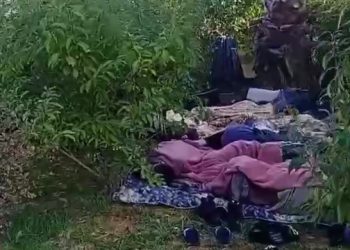 В Сочи заметили 11 спящих на улице детей