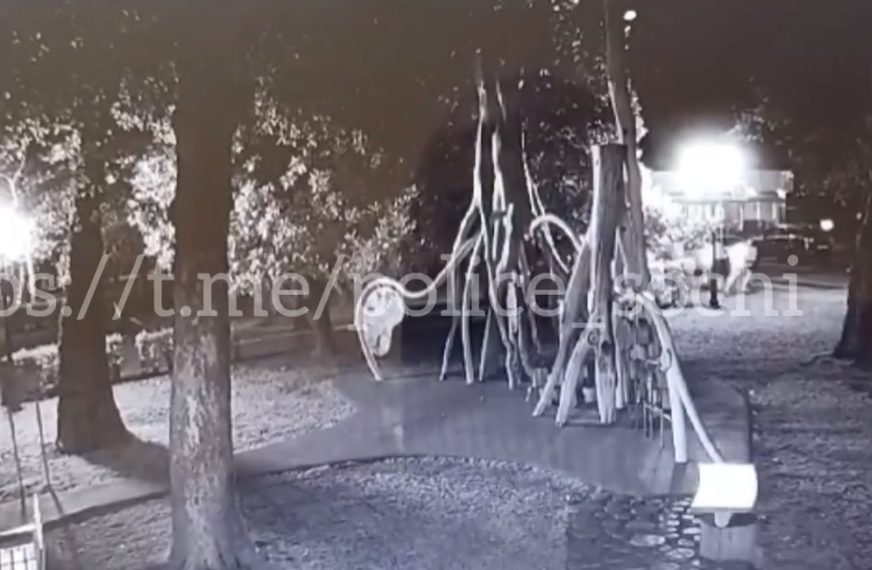 В Сочи нашли всех участников массовой драки на Цветном бульваре