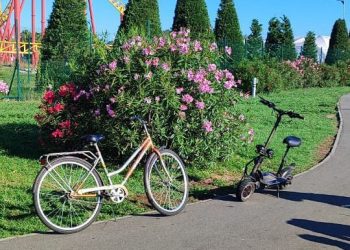 В ДТП с самокатом и велосипедом в Сириусе пострадала женщина
