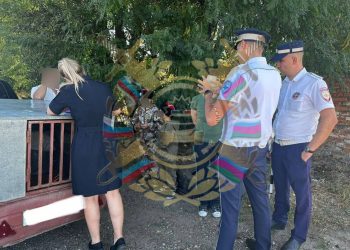 Жительница Кубани возила детей в прицепе за плохое поведение