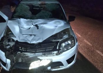 На Кубани пьяный водитель насмерть сбил велосипедиста и 9-летнюю девочку