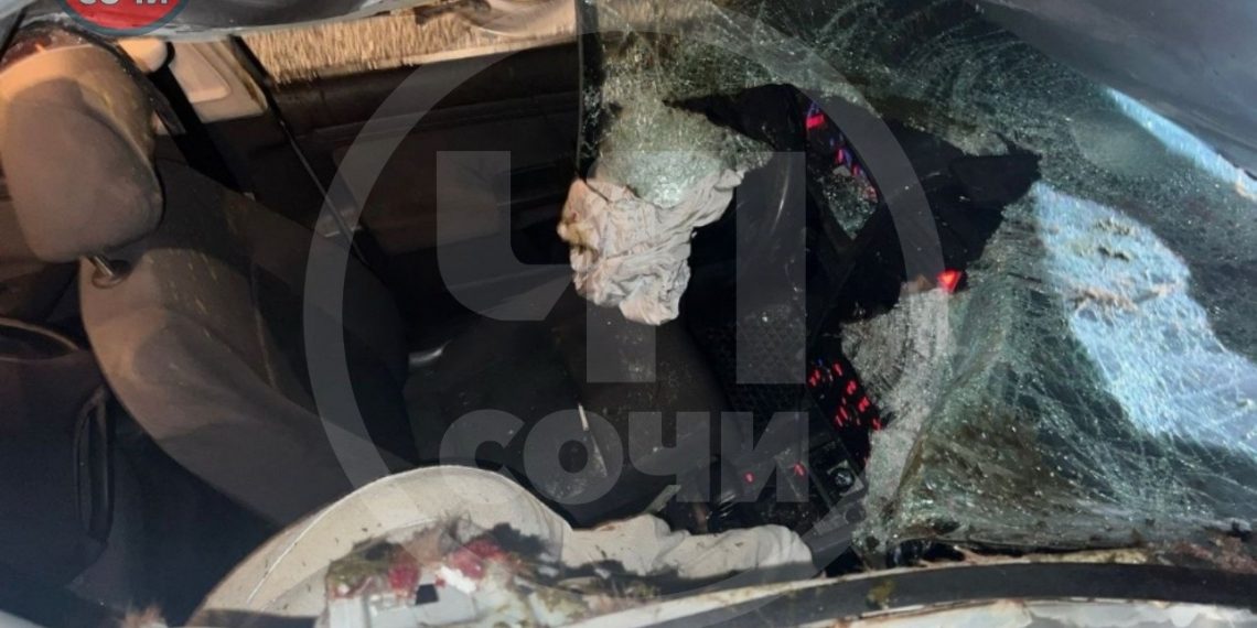 В Сочи иномарка на дороге насмерть сбила лошадь, машина сильно повреждена