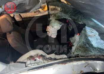 В Сочи иномарка на дороге насмерть сбила лошадь, машина сильно повреждена