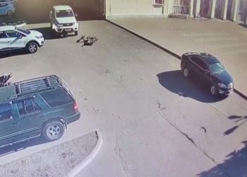 На Кубани УАЗ сбил ребенка-велосипедиста