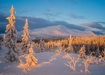 Синоптик Тишковец предстоящую зиму в Краснодарском крае определил тремя словами