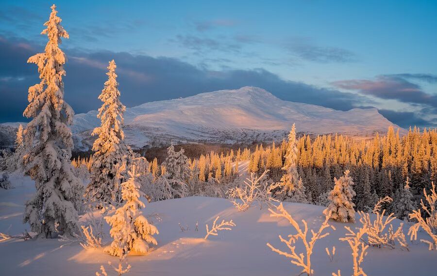 Синоптик Тишковец предстоящую зиму в Краснодарском крае определил тремя словами